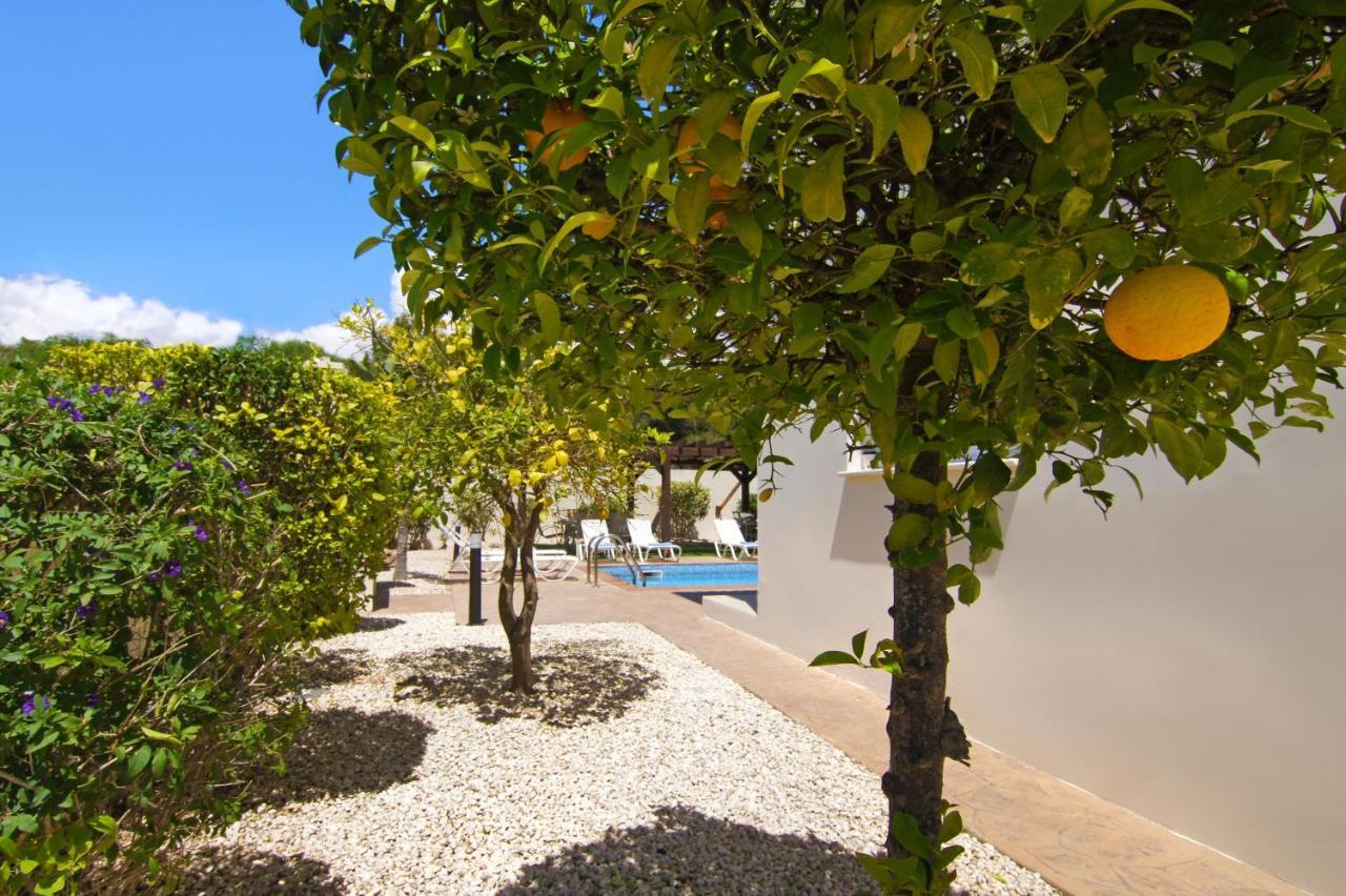 Nissi Adamite Villa أيا نابا المظهر الخارجي الصورة